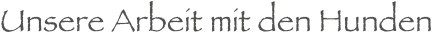 Unsere Arbeit mit den Hunden